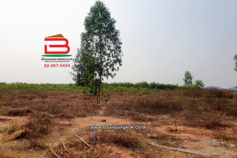 ที่ดินเปล่า ตรงข้ามสนามกอล์ฟเอเวอร์กรีนฮิลล์ เนื้อที่ 1102 ไร่ ตำบลรางสาลี่ อำเภอท่าม่วง กาญจนบุรี 4