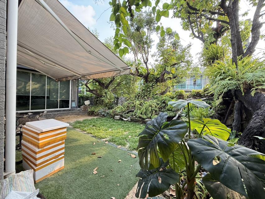 บัานเดี่ยว เดอะแพลนท์พัฒนาการ38 5