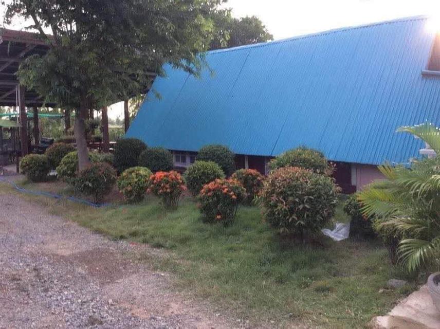 ที่ดิน 11