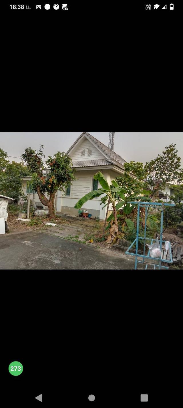 ขายบ้านพร้อมที่ดิน พระราม2 ซอย38 พร้อมห้องเช่า 10 ห้อง เนื้อที่ 195 ตร.ว. เจ้าของขายเอง ราคา 14 ล้าน ต่อรองได้ 13
