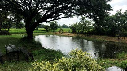 ขายที่ดิน 6 ไร่ พร้อมบ้านสวน ติดถนนใหญ่ บ้านฝาง ขอนแก่น 3