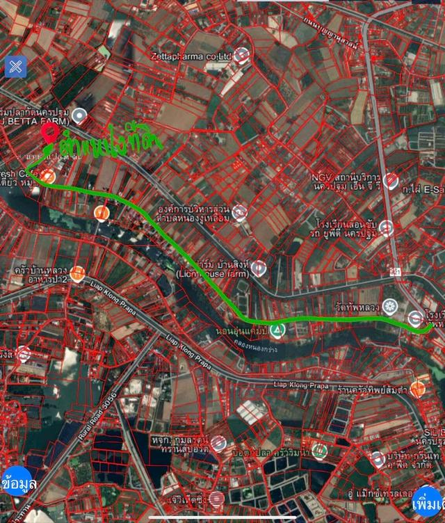 ที่ดินเขตพื้นที่สีเขียว 2