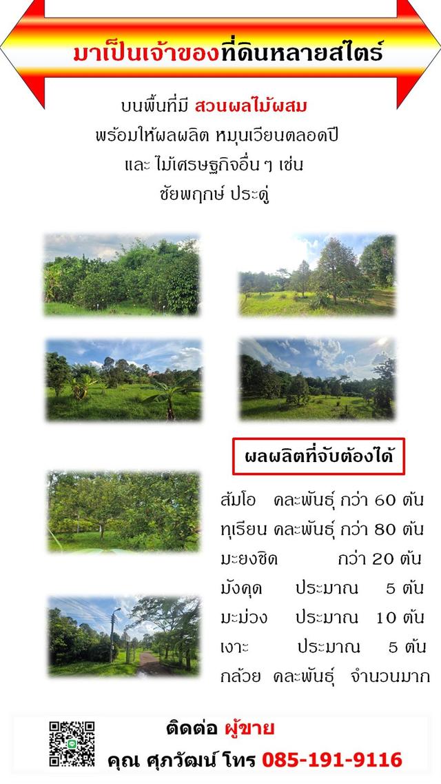 ขายที่ 32 ไร่ กลางแหล่งท่องเที่ยว ต.หินตั้ง จ.นครนายก 9