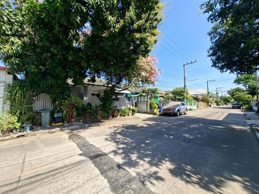 ขายบ้านเดี่ยวชั้นเดียว หมู่บ้านเอซีเฮ้าส์2 ใกล้ตลาดเอซี คลอง4 3