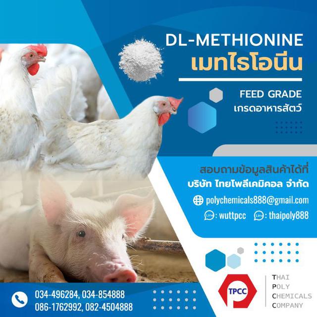 แอล-ไลซีน, L-Lysine, ดีแอล-เมทไธโอนีน, DL-Methionine, กรดอะมิโน, Amino Acid 