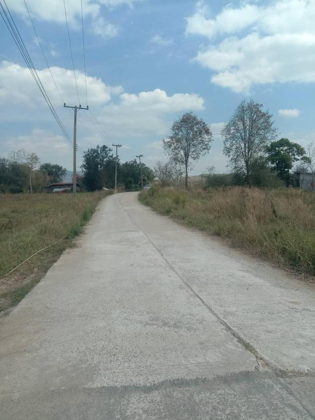 ที่ดินเปล่า มีหลายไร่ แบ่งขาย 1 ไร่ 6 แสน บ้านศิลางาม  วังน้ำเขียว รูปที่ 7