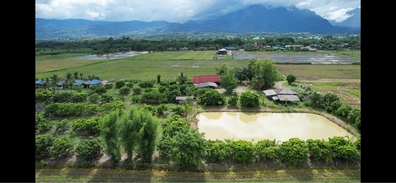 ที่ดินร้านอาหารปู๋หลงโต้ง เชียงดาว 6