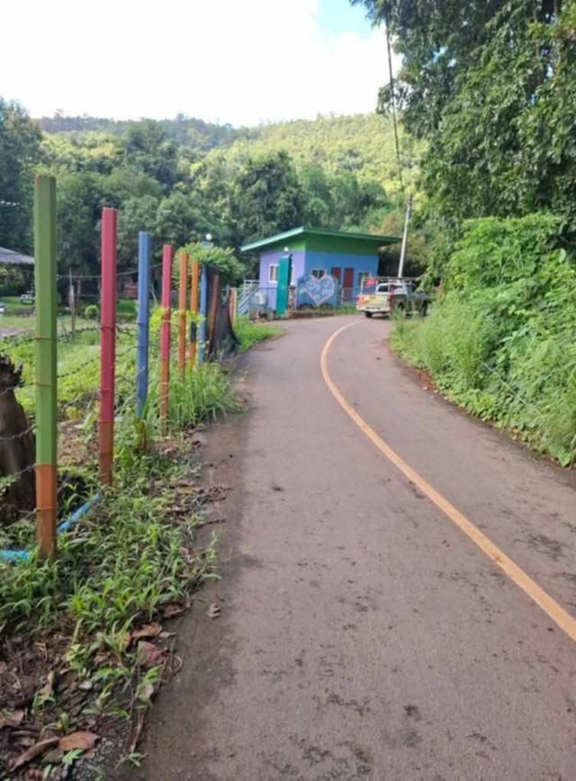 ขายที่ดิน ที่สวนแม่ฮ่องสอน 1