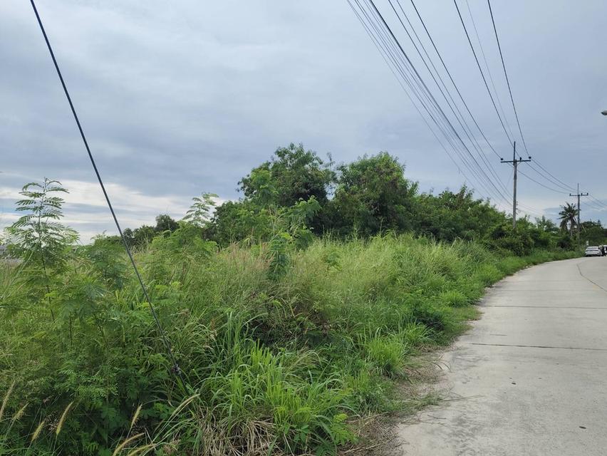 ขายด่วนที่ดินทำเลดี💥ใกล้โรงเรียนนานาชาติ ใกล้สนามบินอู่ตะเภา 5