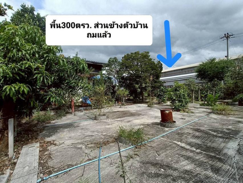 บ้านเดี่ยวพร้อมที่ดิน1ไร่ 3