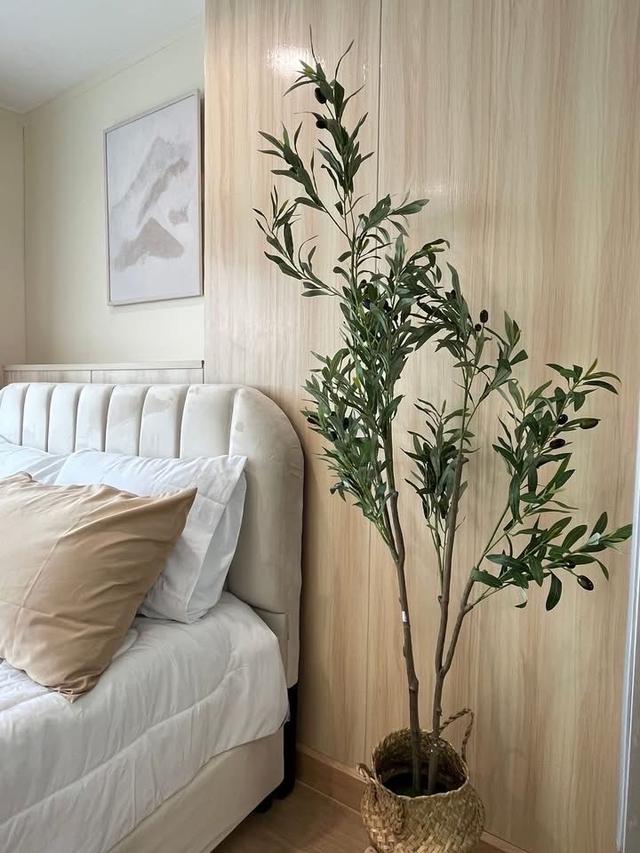 ขาย ทำเลดี 3