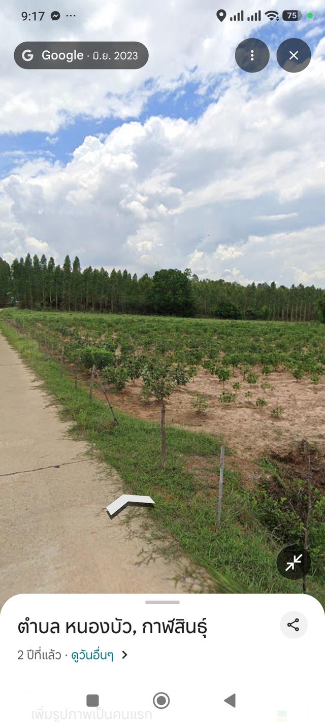 ที่ดิน  10ไร่  บ.หนองบัวกลาง อ. นามน จ. กาฬสินธุ์ 3