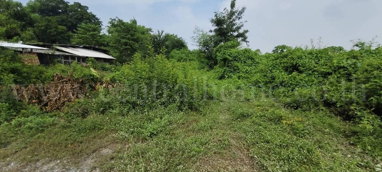 ที่ดินพร้อมสิ่งปลูกสร้าง  2-2-25 ไร่ บางเลน นครปฐม 20