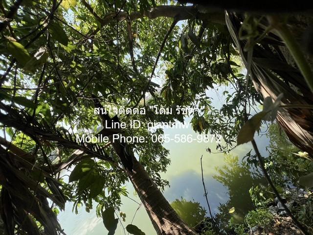 บ้าน บ้านเดี่ยวติดทะเลสาบ พุทธมณฑลสาย 3 19000000 บาท. 0 RAI 2 Ngan 91 ตาราง-วา ใกล้กับ โครงการใกล้สนามกีฬาส่งเสริมสุขภาพ 7