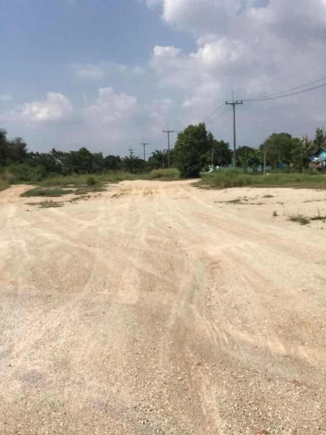 ขายที่ดินหนองอิรุณถมแล้ว 2 ไร่ ติดถนนลาดยางซอยวัดหนองเขิน ใกล้ถ.จารุวร349-800เมตร อ.บ้านบึง ชลบุรี 6