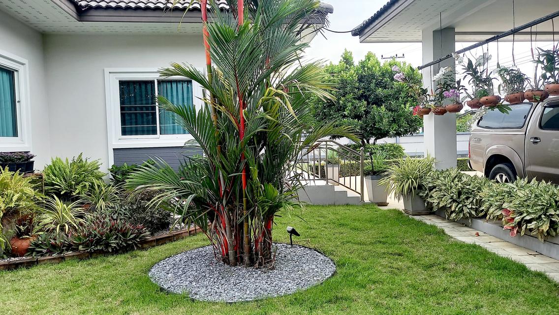 บ้านเดี่ยว สไตล์รีสอร์ท จ.นครปฐม 7