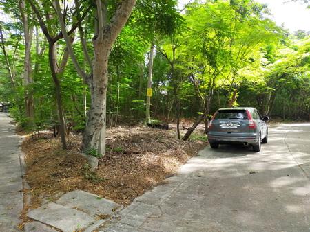 ขายที่ดินจัดสรร ราคาถูก ม.กรีนนิชชาเล่ต์ ซ.บรมราชชนนี 62/6 ติดถนนบรมราชชนนี เขตทวีวัฒนา กรุงเทพ 10170 1