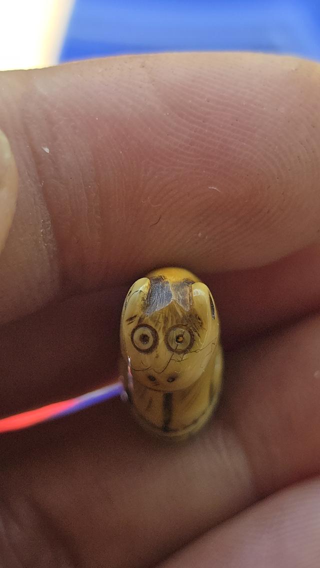 เสือแกะหลวงพ่อปาน วัดคลองด่าน