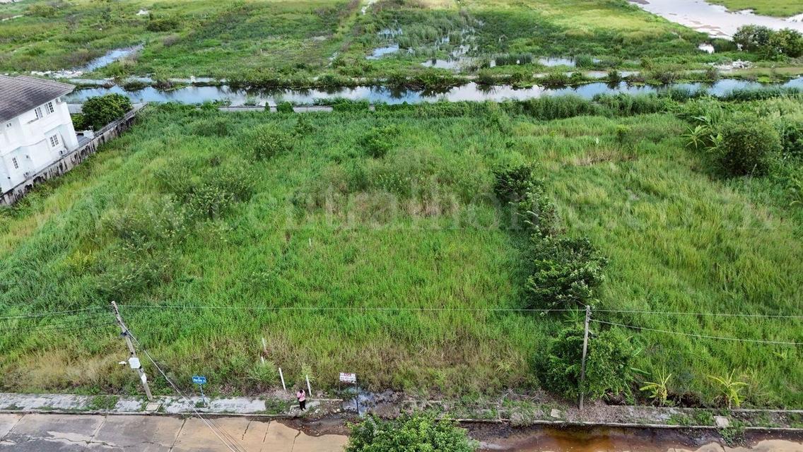 ที่ดิน 316 ตร.วา ถมแล้ว หมู่บ้านกฤษดานคร 19 - คลองหลวง 1