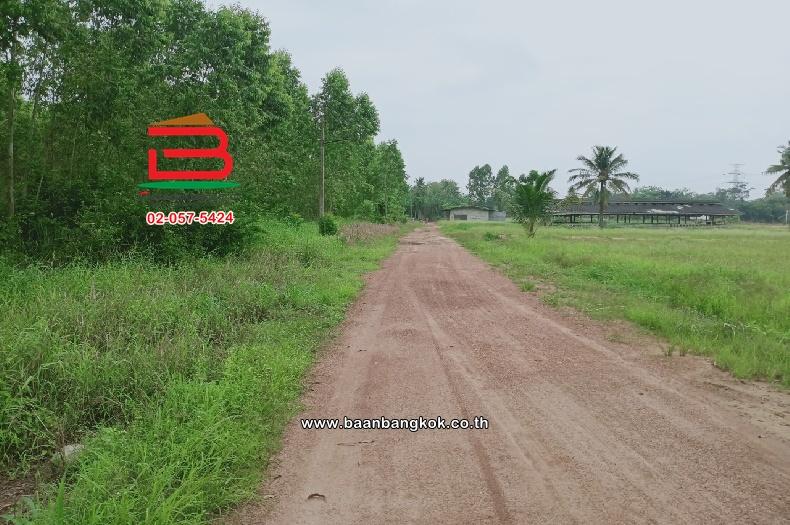 ที่ดินเปล่า ตำบลท่าบุญมี (สี่แยกเกาะโพธิ์) เนื้อที่ 71-0-22 ไร่ (ใกล้อ่างเก็บน้ำคลองหลวงรัชชโลทร) ตำบลท่าบุญมี อำเภอเกาะจันทร์ จังหวัดชลบุรี 3