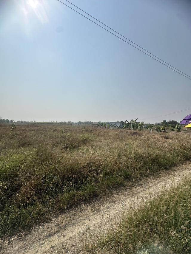 ที่ดิน 1ไร่ อำเภอหนองหญ้าไซ สุพรรณ 1