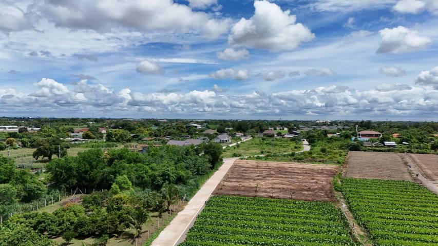 ขายที่ดินติดถนน 2 ด้าน หลังวัดวังขนาย  อำท่าม่วง กาญจนบุรี ห่างถนนใหญ่เพียง 400 เมตร 4