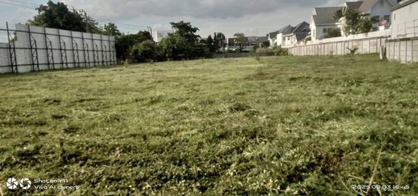 ขายที่ดิน 3 ไร่ บางนา-ตราด กม.7 เดินทางสะดวก โทร 090-6360022 เหมาะสำหรับพัฒนาโครงการ, โกดัง, โชว์รูม, ออฟฟิศ, ศูนย์กระจายสินค้า ฯลฯ 2