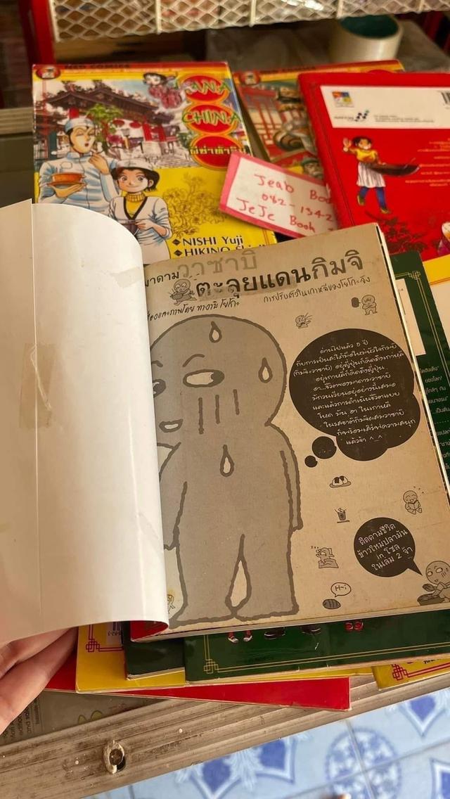 หนังสือการ์ตูน HANA CHINA ผีซ่าท้าชิม 1-19 จบ