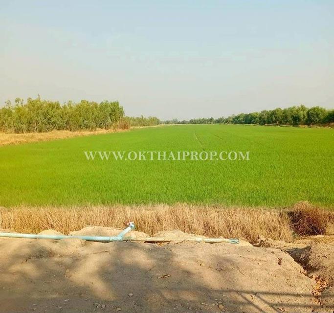 ที่ดิน คลอง14 ถนนรังสิต-นครนายก ใกล้ มศว. อ.องครักษ์ จ.นครนายก 1