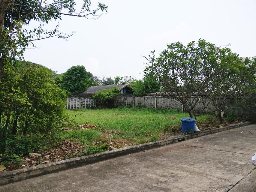 ขายที่ดิน 78 ตารางวา หมู่บ้านปัญญาเลคโฮม นิมิตใหม่ 28 ราคา 1.63 ล้านบาท 1