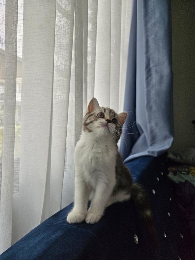 เด็กหญิง พร้อมย้าย พ่อแม่พกใบเพ็ดทั้งคู่ รูปที่ 4