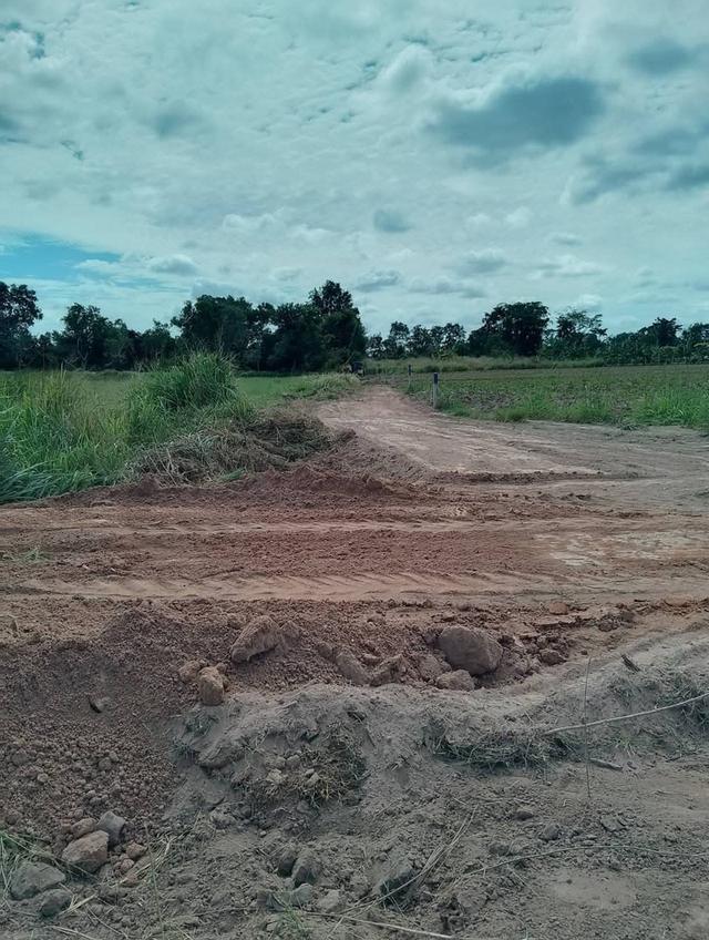 ที่ดินเปล่า แปลงสวย ราคาถูก 3