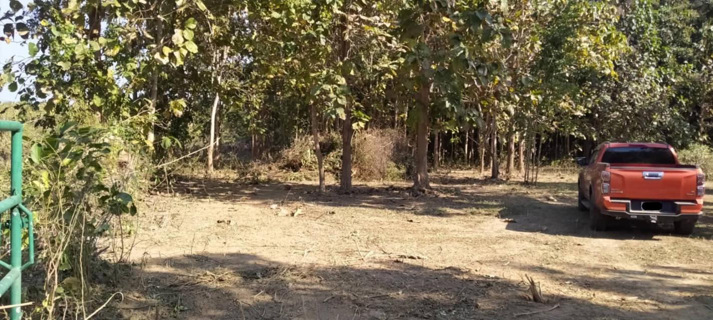 ที่โฉนดติดแม่น้ำวังพื้นที่ 5ไร่2งาน69ตรว.1.9 ล้านบาท (ฟรีโอน)ด้านในบริเวณที่ดินปลูกไม้สัก ลำไย มะม่วงที่ดินมี2ระดับชั้น ชั้นบนจะอยู่ระดับเดียวกับถน 3