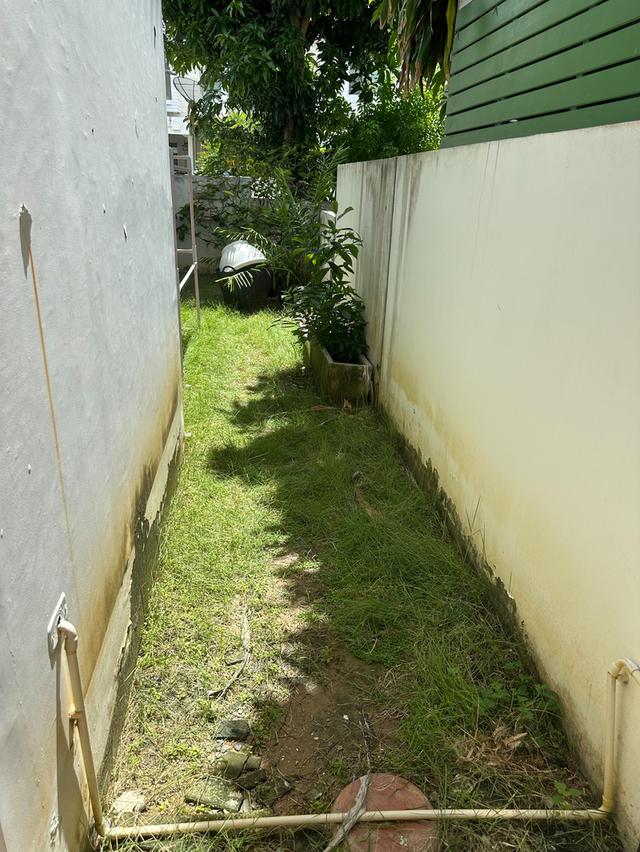 ขายบ้านแฝดโฮมเพลส วงแหวน - รัตนาธิเบศร์ บางใหญ่ พร้อมเข้าอยู่ ทำเลดี ใกล้รถไฟฟ้าสายสีม่วง 14