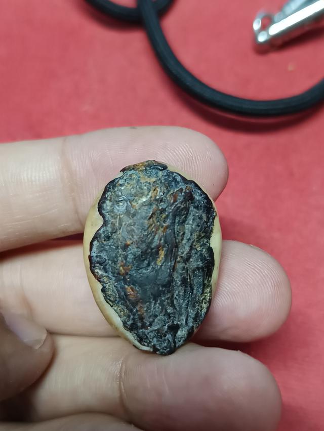 เบี้ยแก้เบรเยแก้เบี้ยแก้ รูปที่ 2