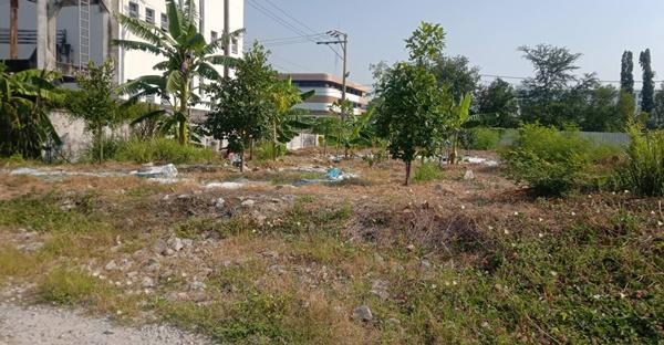 ที่ดินให้เช่าถนนพระราม2ในซอย31 1