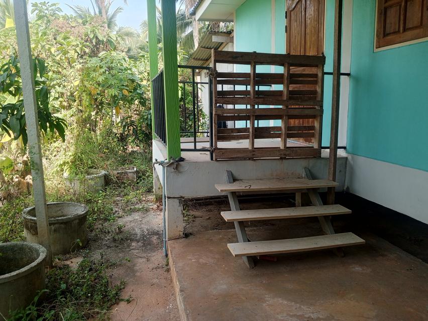 ขายบ้านพร้อมที่ดิน 70 ตารางวา 1