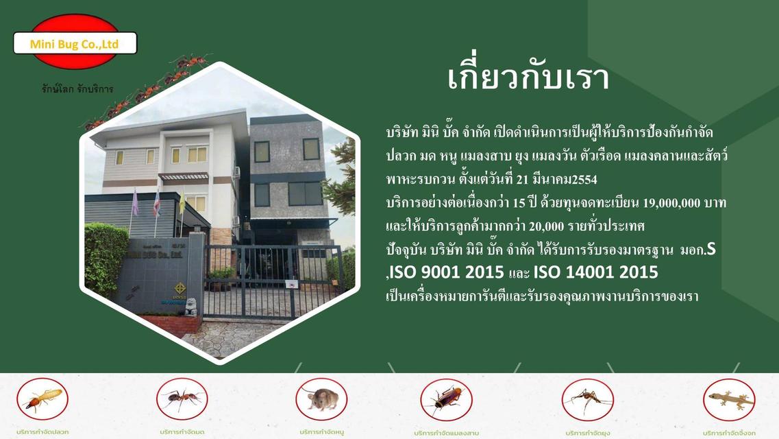 บริการป้องกันจำกัดปลวก มด หนู แมลงสาบอเมริกัน แมลงสาบเยอรมัน  ตัวเรือด ยุง แมลงวัน  Pest control รูปที่ 2