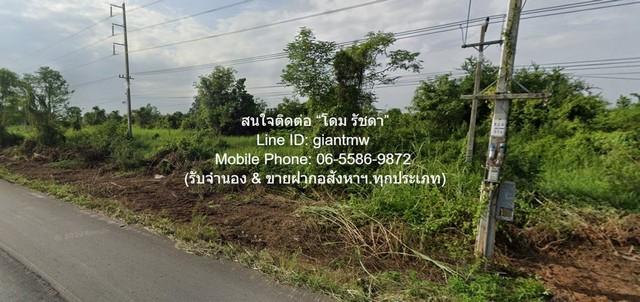 SALE ที่ดิน ขายที่ดินเปล่าแปลงใหญ่ (ถมแล้ว) บึงพระ จ.พิษณุโลก ติดถนนเลี่ยงเมืองพิษณุโลก 145-1-17.1 ไร่ ราคา 555 ล้านบาท 5