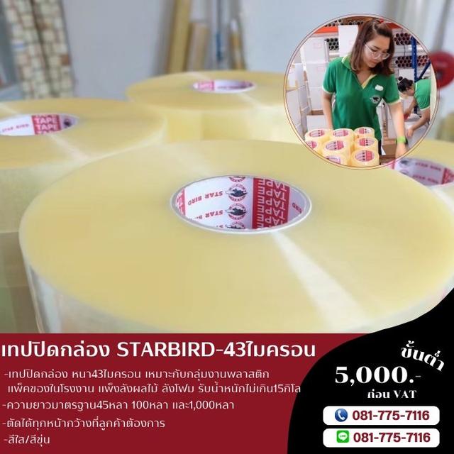 เทปปิดกล่อง สก็อตเทปราคาถูก เทปกาวโรงงาน เทปโอพีพี 081-7757116