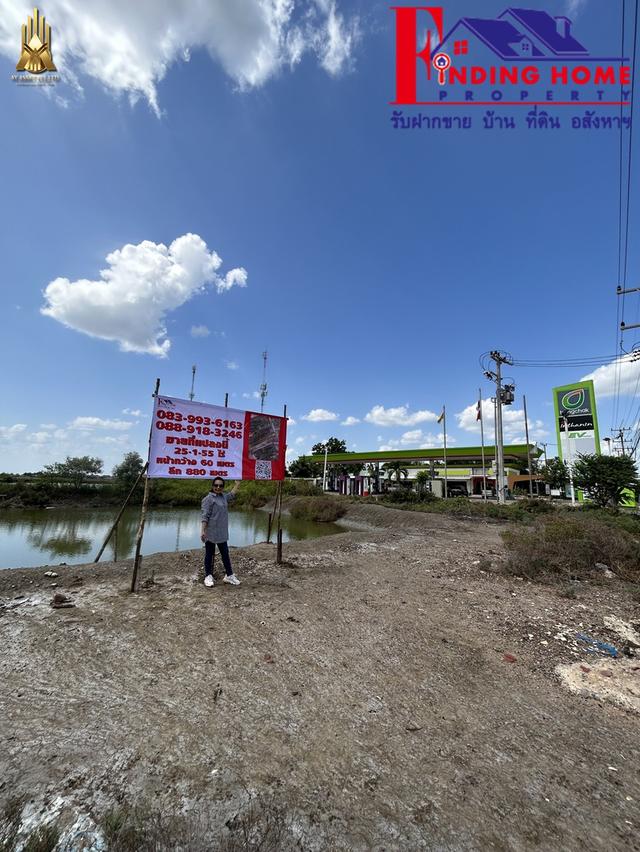 ขายที่ดิน ติดถนนพระราม2ขาเข้า กม.50 สมุทรสาคร 6