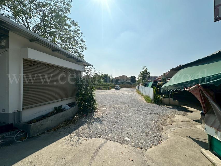 ที่ดินเปล่า 1 ไร่ ติดถนนกาญจนาภิเษก ซอยวัดพระนอน ใกล้ตลาดพระปิ่น 3 8