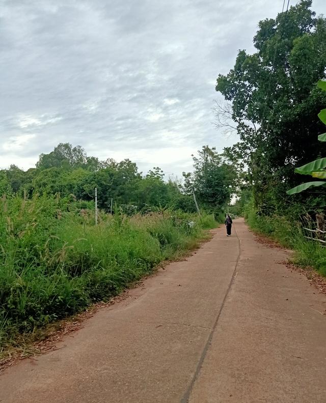 ขายที่ดินว่างเปล่าที่เมืองจังหวัดสกลนคร 3