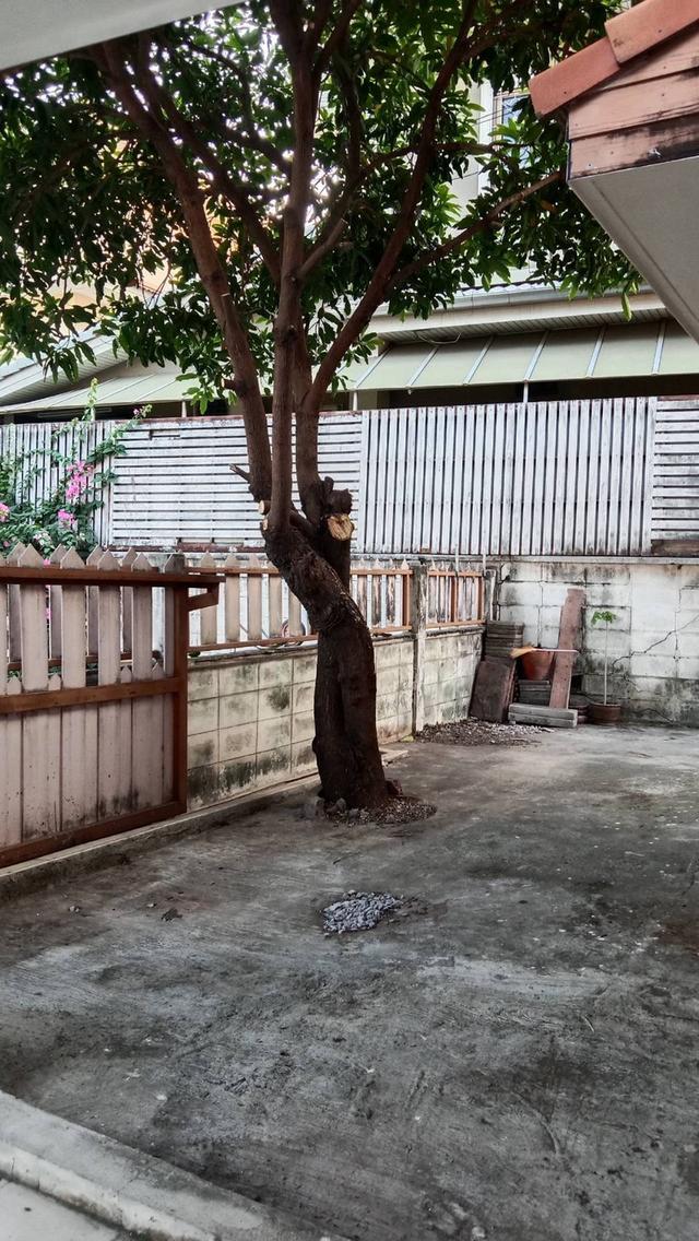 ขายบ้านเดียวเขตมีนบุรี 2
