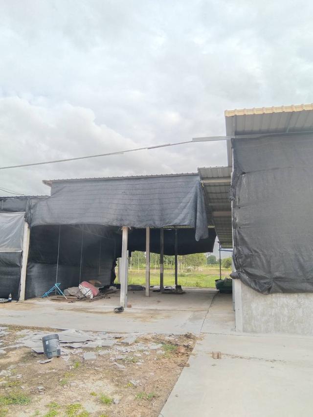 ขายที่ดิน3ไร่ ต.ทะเลบก อ.ดอนเจดีย์ จ.สุพรรณบุรี