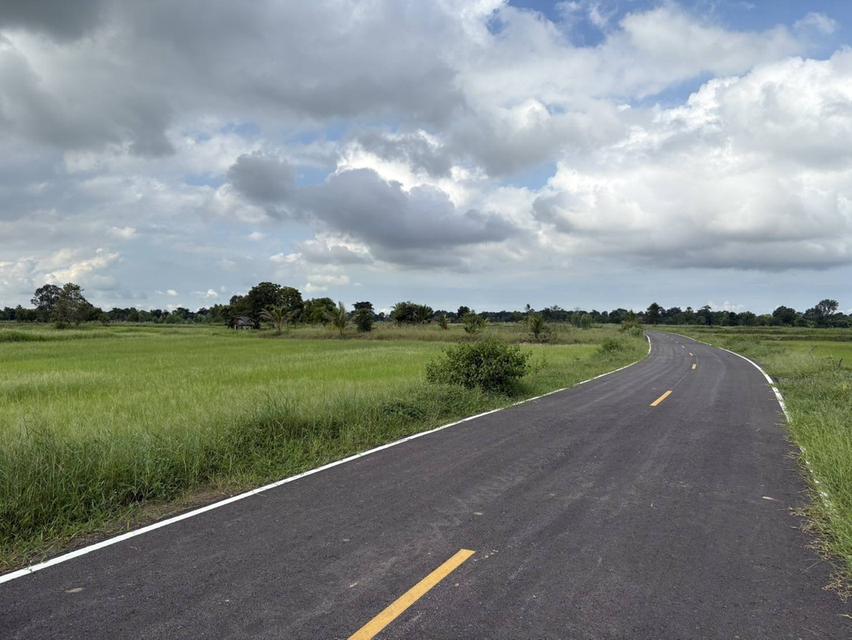 ขายที่นาตำบลหนองมะนาวอำเภอคงจังหวัดนครราชสีมา ขนาดที่ดิน 28 -1 -19 ไร่โฉนด รูปที่ 2