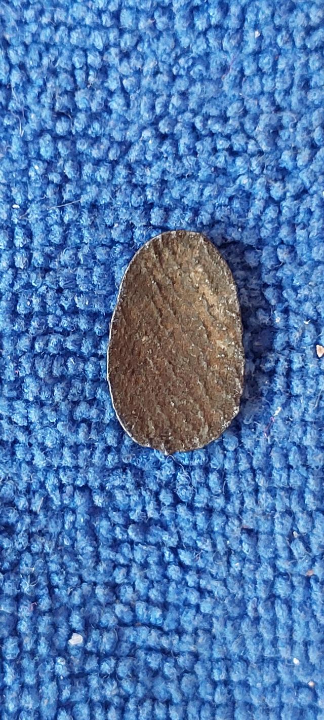 พระพิจิตรเม็ดข้าวเม่าพิมพ์แขนกลม รูปที่ 8