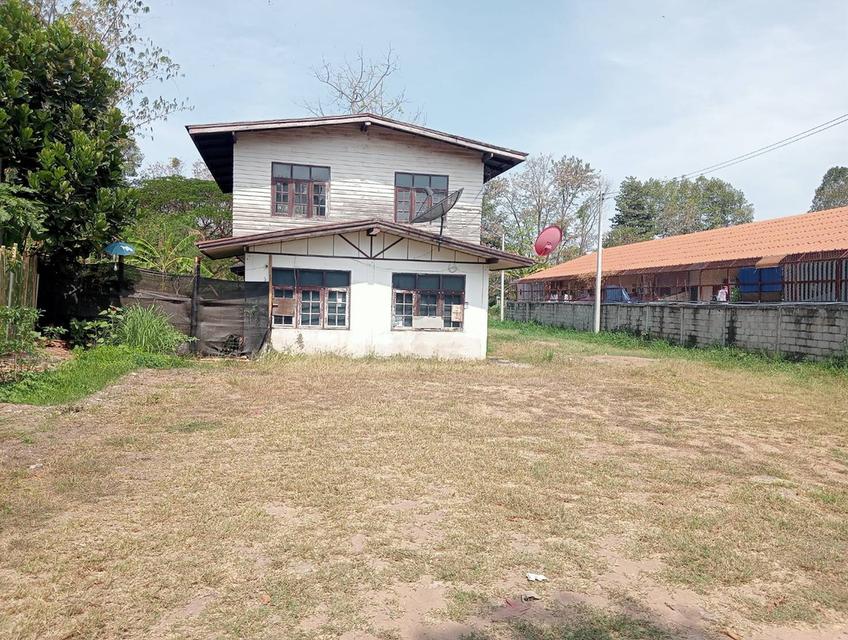 บ้านและที่ดินแปลงใหญ่ 4 ไร่เศษ ในเขตเทศบาลเมืองกาฬสินธุ์ 8