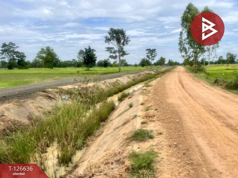 ขายที่ดิน เนื้อที่ 21 ไร่ 3 งาน 13.0 ตารางวา อำเภอเฉลิมพระเกียรติ บุรีรัมย์ 6