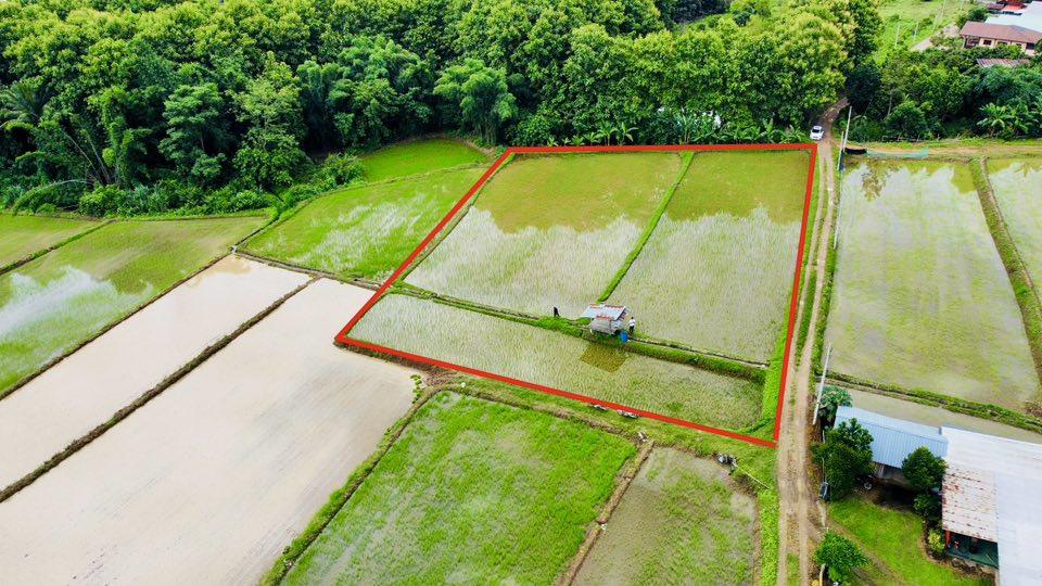ขายที่ดิน ปัว น่าน 707 ตร.ว. ราคา 1.9 ล้าน 6